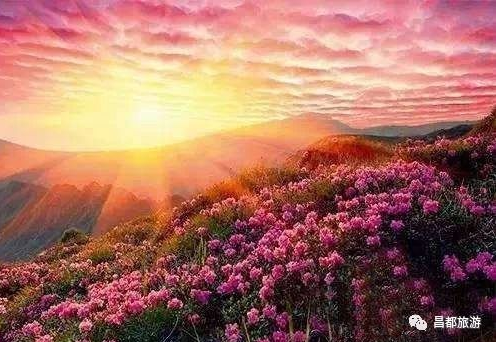 QQ截图20190403160726.png